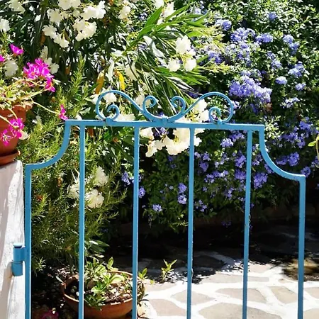 Welcomely - L'oleandro Olbia
